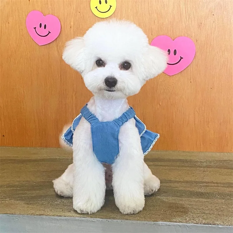 Falda vaquera para mascotas de primavera, camisola para gatos, chaleco, vestido vaquero con lazo, ropa para perros pequeños y medianos, ropa para cachorros - imagen 2