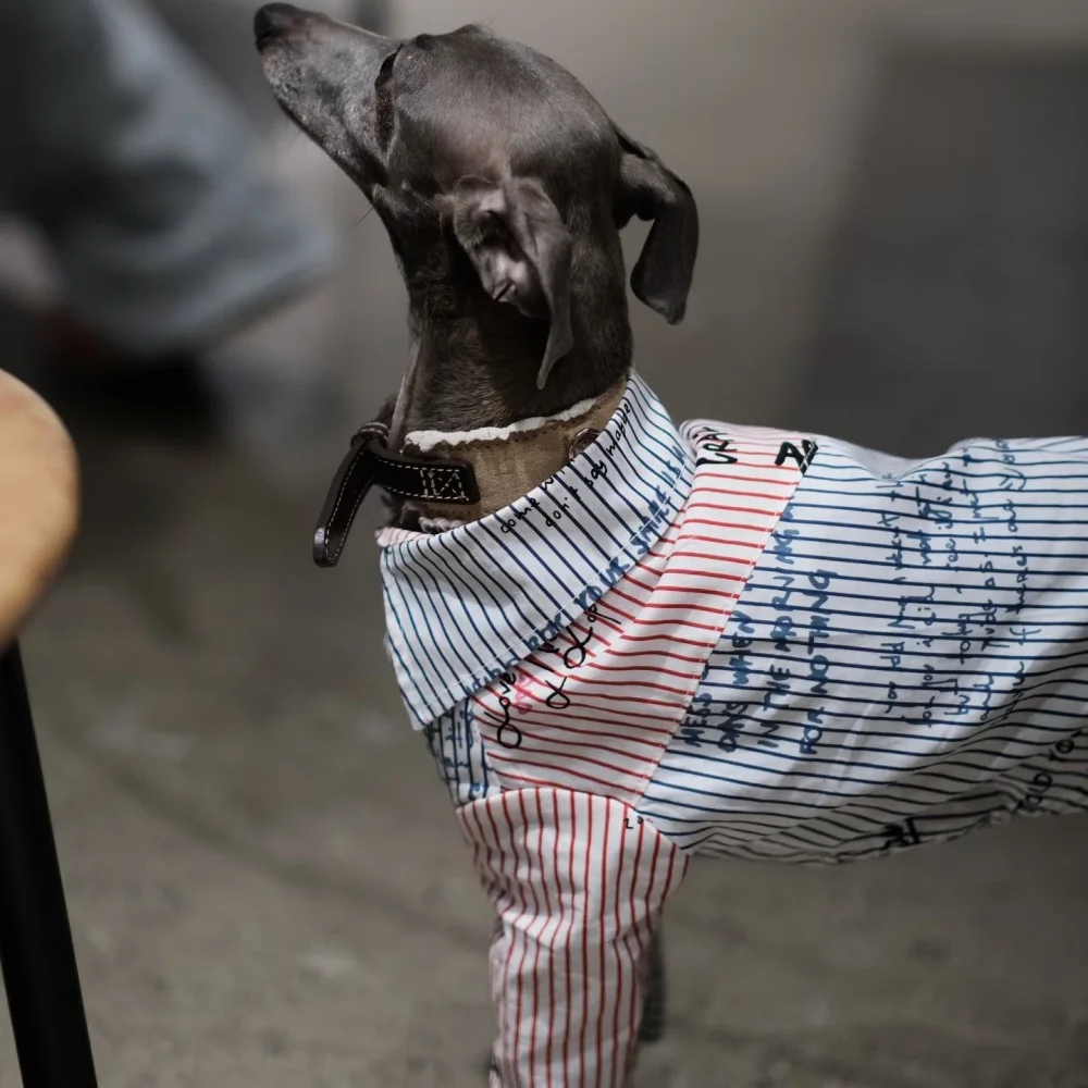 Elegante camisa de caballero con botones de rayas de algodón para Little Greyhound Loungewear Primavera Otoño Whippet Monograma Abrigo Negro - imagen 2