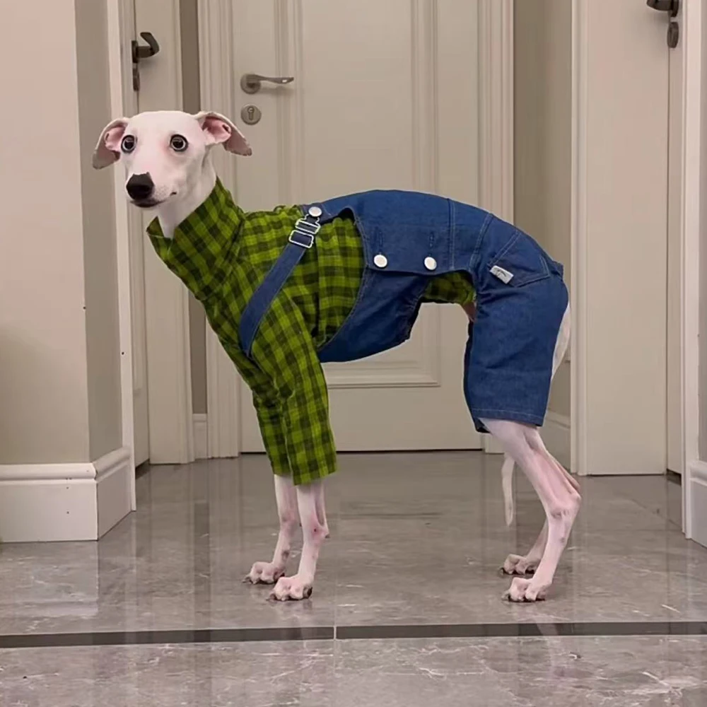 Conjunto vaquero para perros – Camiseta verde sin mangas + jean