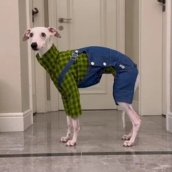 Conjunto vaquero para perros – Camiseta verde sin mangas + jean