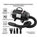 Blow Suction Black