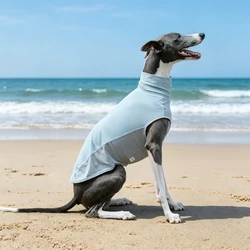 Chaleco para perros de verano: tela fresca, secado rápido y protección solar