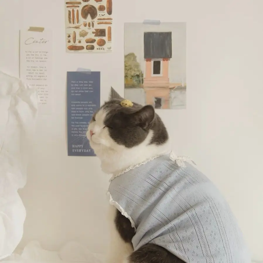 Chaleco con lazo para mascotas, ropa fina de algodón puro para perros y gatos, anticaída de pelo, ropa para cachorros, chaleco para perros - imagen 5