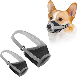 Bozal antihmordida transpirable para Corgi – Perros medianos