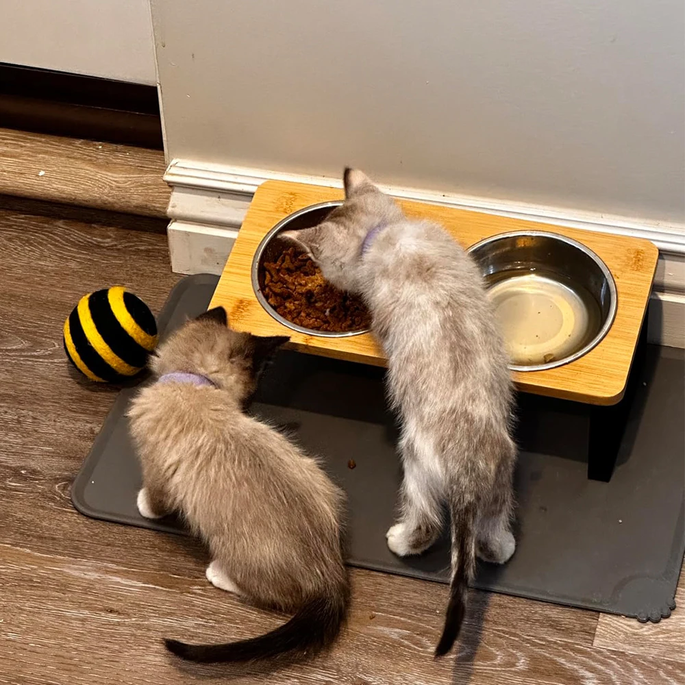 Cuencos elevados inclinados para mascotas, 2 platos de acero inoxidable, doble comedero para gatos, gatitos y perros pequeños, cuencos antideslizantes para comida/agua para mascotas - imagen 5