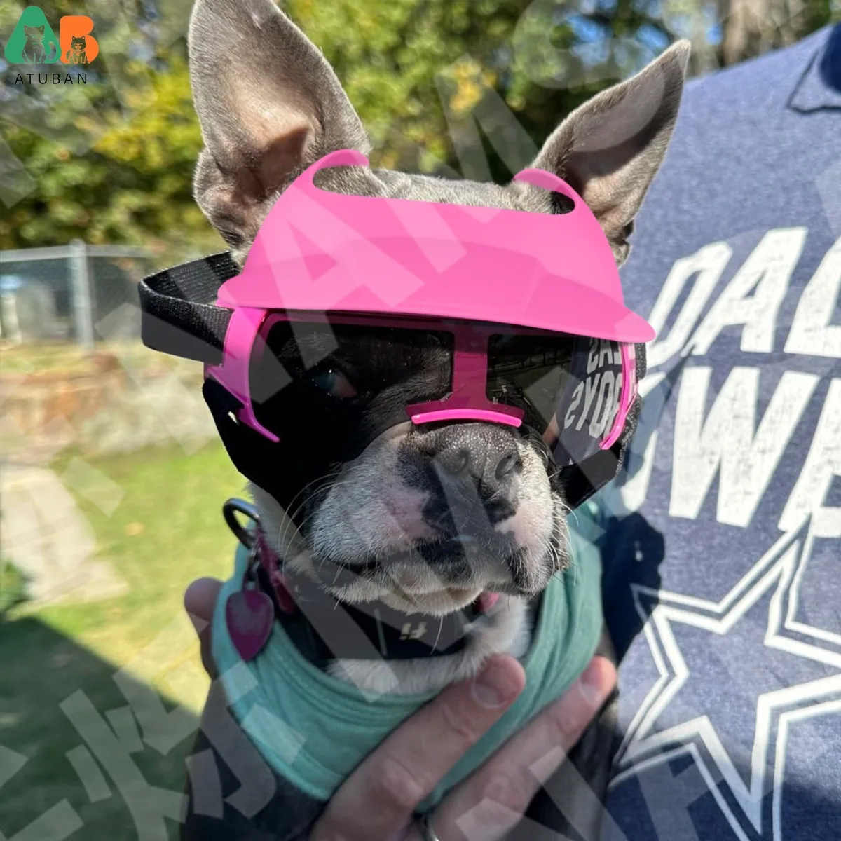 ATUBAN-Sombrero para el sol para mascotas, combinación de gafas para perros, sombrero con protección solar para primavera y verano, accesorios de ajuste de oreja - imagen 4