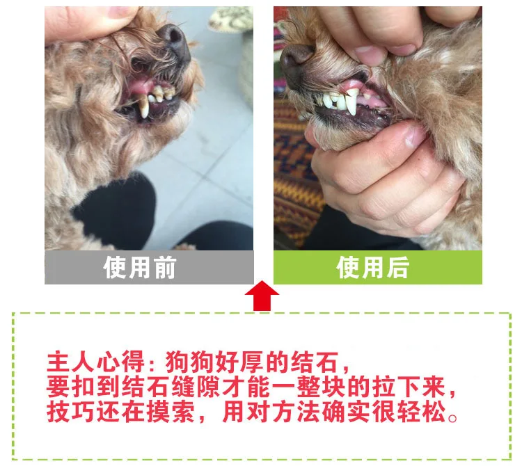 Kit de limpieza dental para perros: elimina sarro y mal aliento - imagen 3