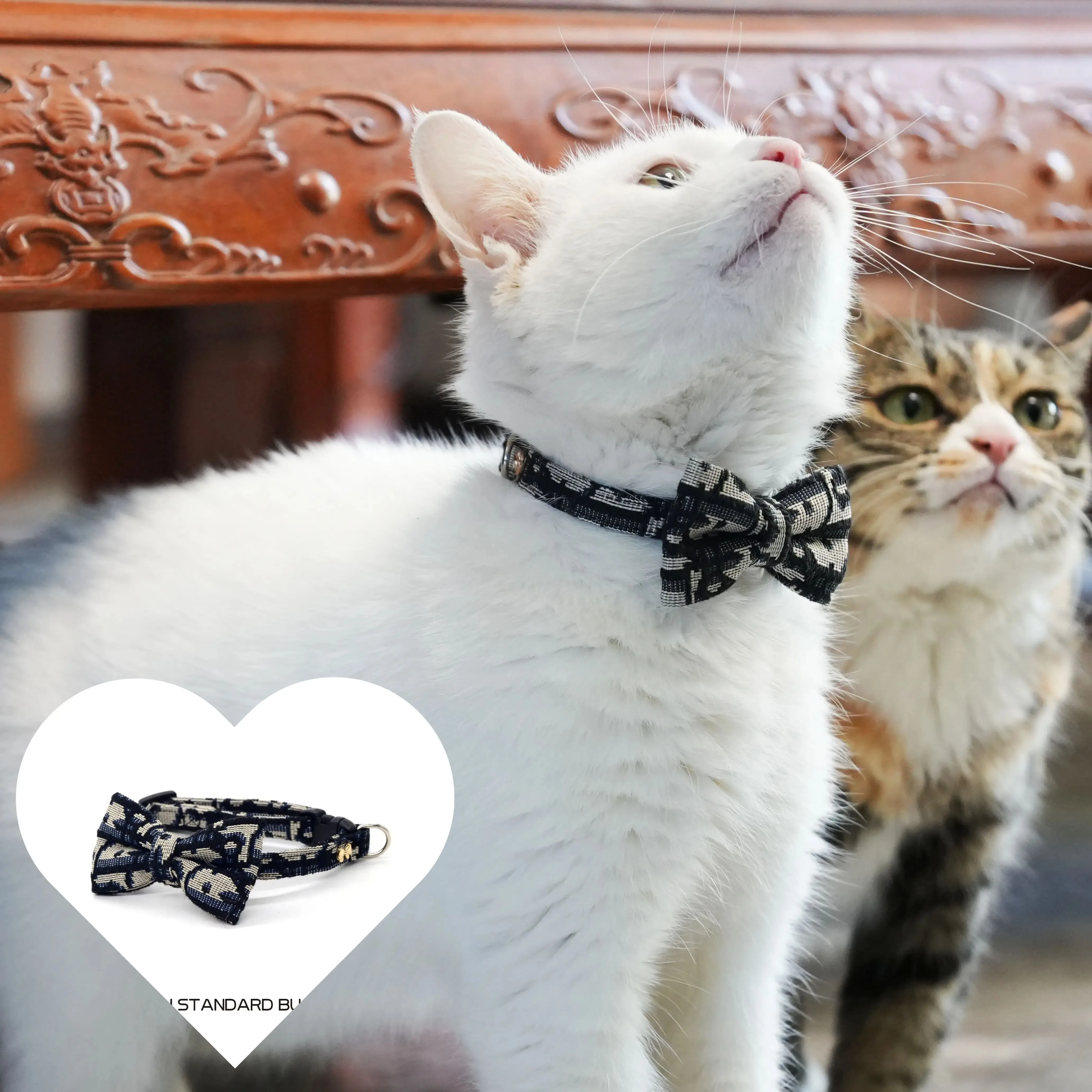 Accesorios para cosas para mascotas, artículos para gatos, Collar desmontable, accesorios de la serie, collares para perros, guías, suministros, correa para gatitos y mascotas