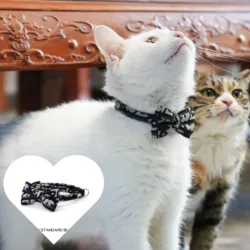 Collar 2 en 1 desmontable para gato y perro – Correa extensible