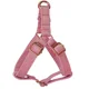 Harness