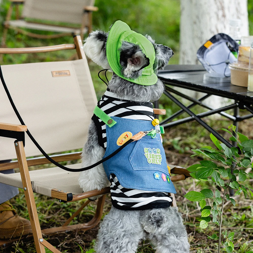 Chaleco de cuerda de plomo ajustable para perros y gatos, correa de plomo práctica para caminar al aire libre para primavera y verano, accesorios para mascotas y gatos pequeños - imagen 3