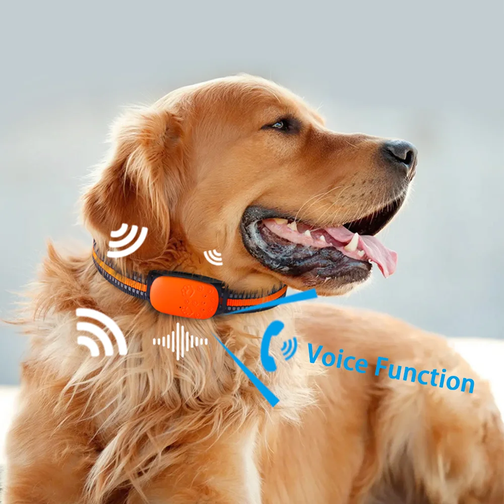 Accesorios para perros Collar para mascotas localizador Gps rastreador navegación y posicionamiento en tiempo Real 4G multimodo impermeable y antipérdida - imagen 3