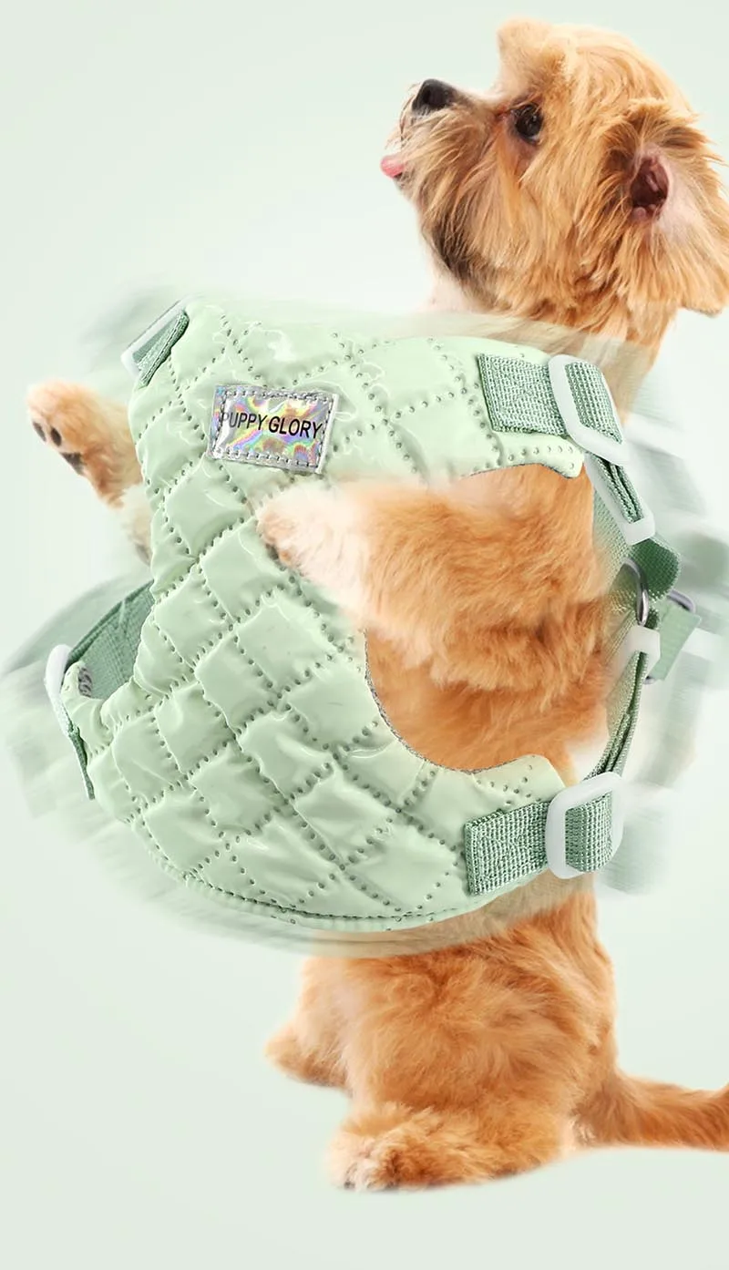 Perro feliz con su arnés impermeable