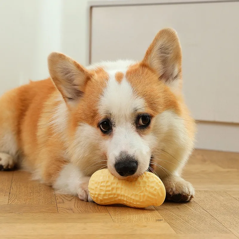 Juguetes para masticar dientes para perros, juguetes interactivos para interiores con forma de maní para mascotas, suministros para juego de cachorros y gatitos en casa