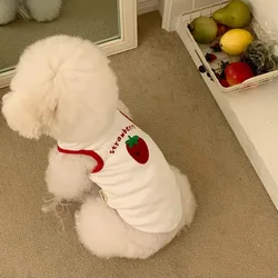 Camiseta sin mangas fruta para perro Schnauzer – ropa fresca verano
