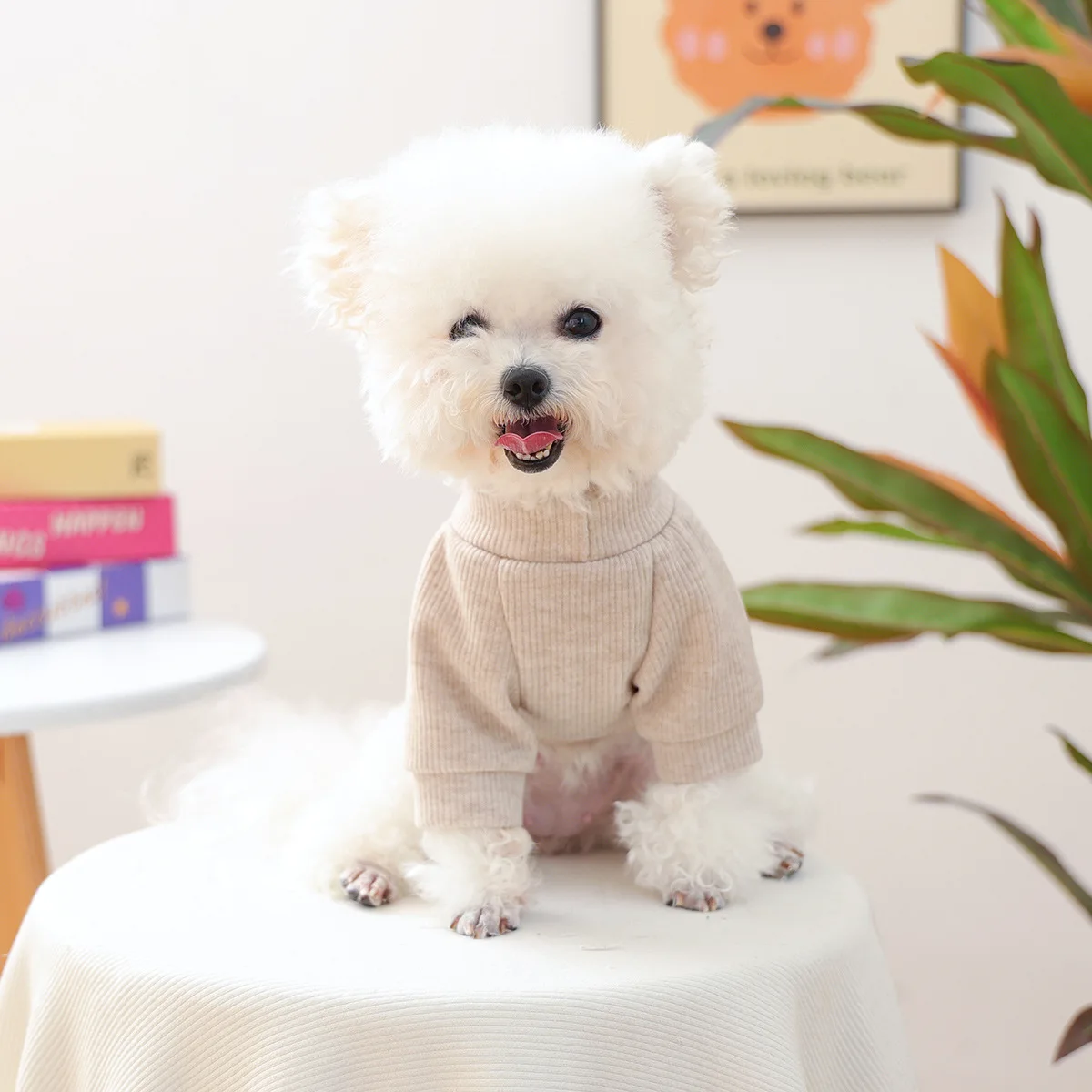 Sudadera con capucha de otoño e invierno para mascotas, perro pequeño, cachorro, perro feliz, gato, cálido y cómodo, oso de peluche, camisa de cuello redondo, ropa para cachorros - imagen 3