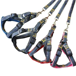 Arnés con correa para perros pequeños – Kit paseo completo