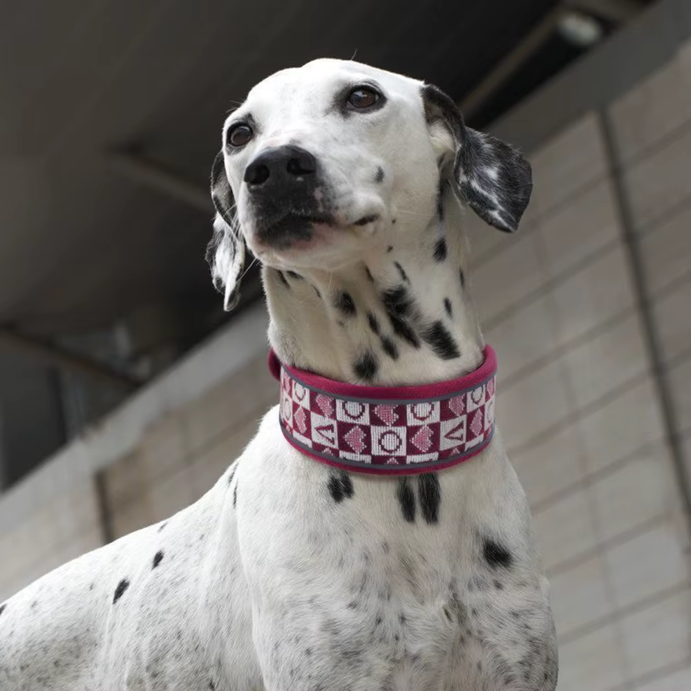 Collar ancho para perros grandes - estilo vintage - imagen 3