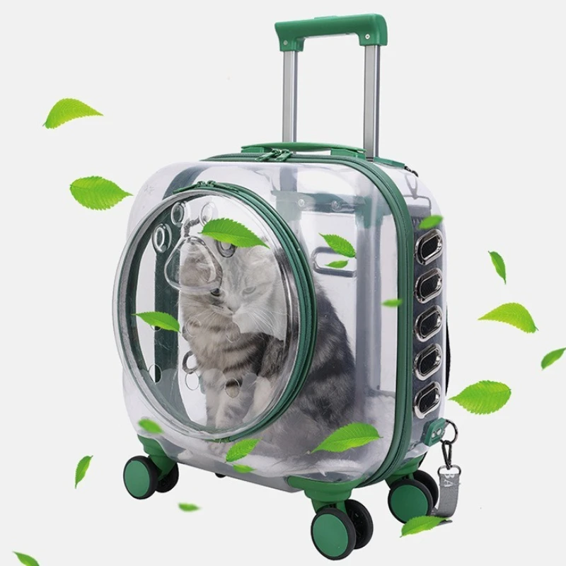 Mochila para gatos al aire libre, accesorios transparentes para mascotas, bolsa de gran capacidad, transpirable, portador de gatos y gatitos, bolsos de hombro para mujer - imagen 4
