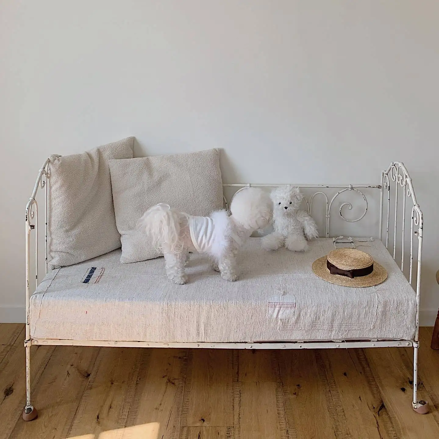 unknown_336487256_557443342867