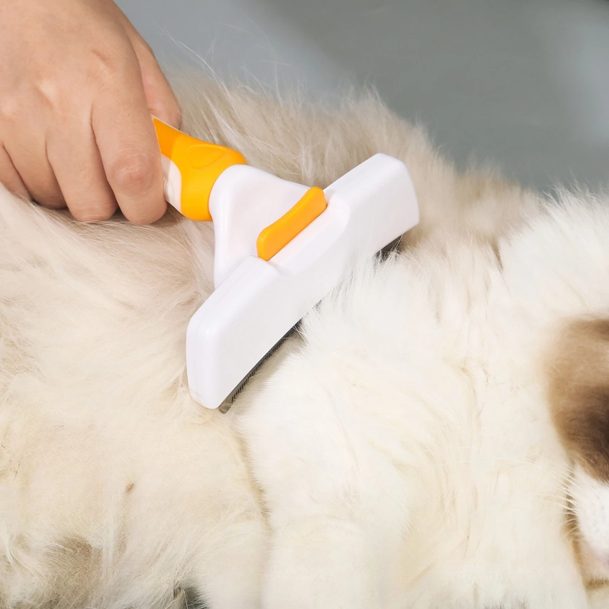 Cepillo para perros, cuidado del cabello para gatos, accesorios de aseo, suministros, removedor de pelo para mascotas, peine anudado, perros grandes, pelo corto, antipéridos - imagen 2