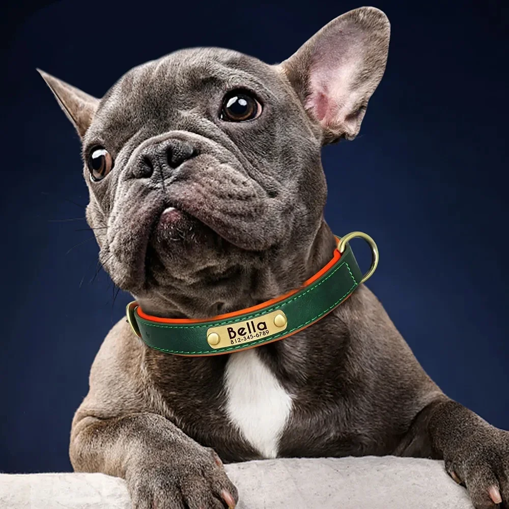 Correa personalizada, Collar para perro personalizado, collares con etiqueta para perro de mascota de cuero PU, placa con nombre grabada gratis para perros pequeños, medianos y grandes Pitbull - imagen 4