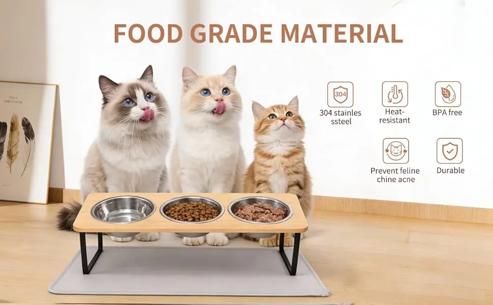 Conjunto de platos y tazones para gatos