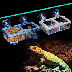 Comedero y bebedero para reptiles con ventosa antiefugas – Tortugas