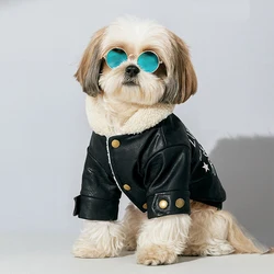 Ropa de Invierno para Perros y Gatos: Chaqueta de Cuero y Monos