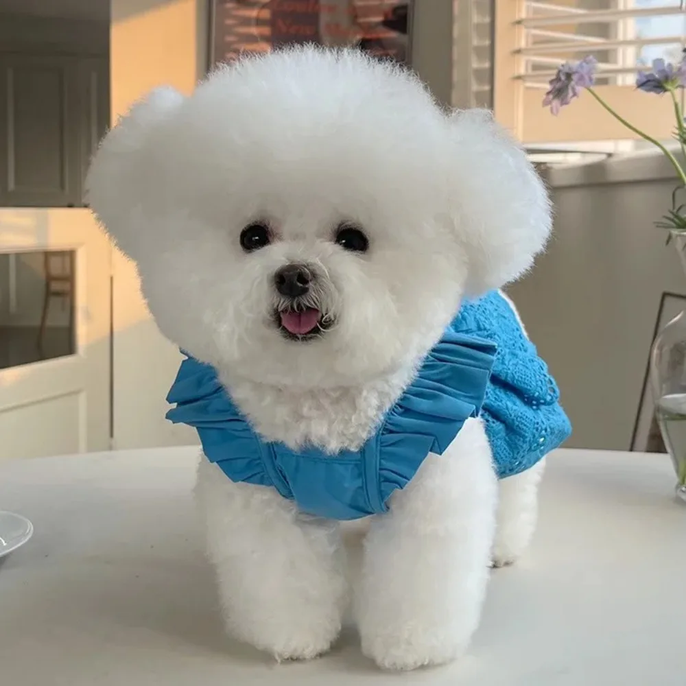 Vestido de encaje con mangas voladoras para mascotas, ropa de tracción fina para perros pequeños, oso de peluche, gato, primavera y verano, nuevo