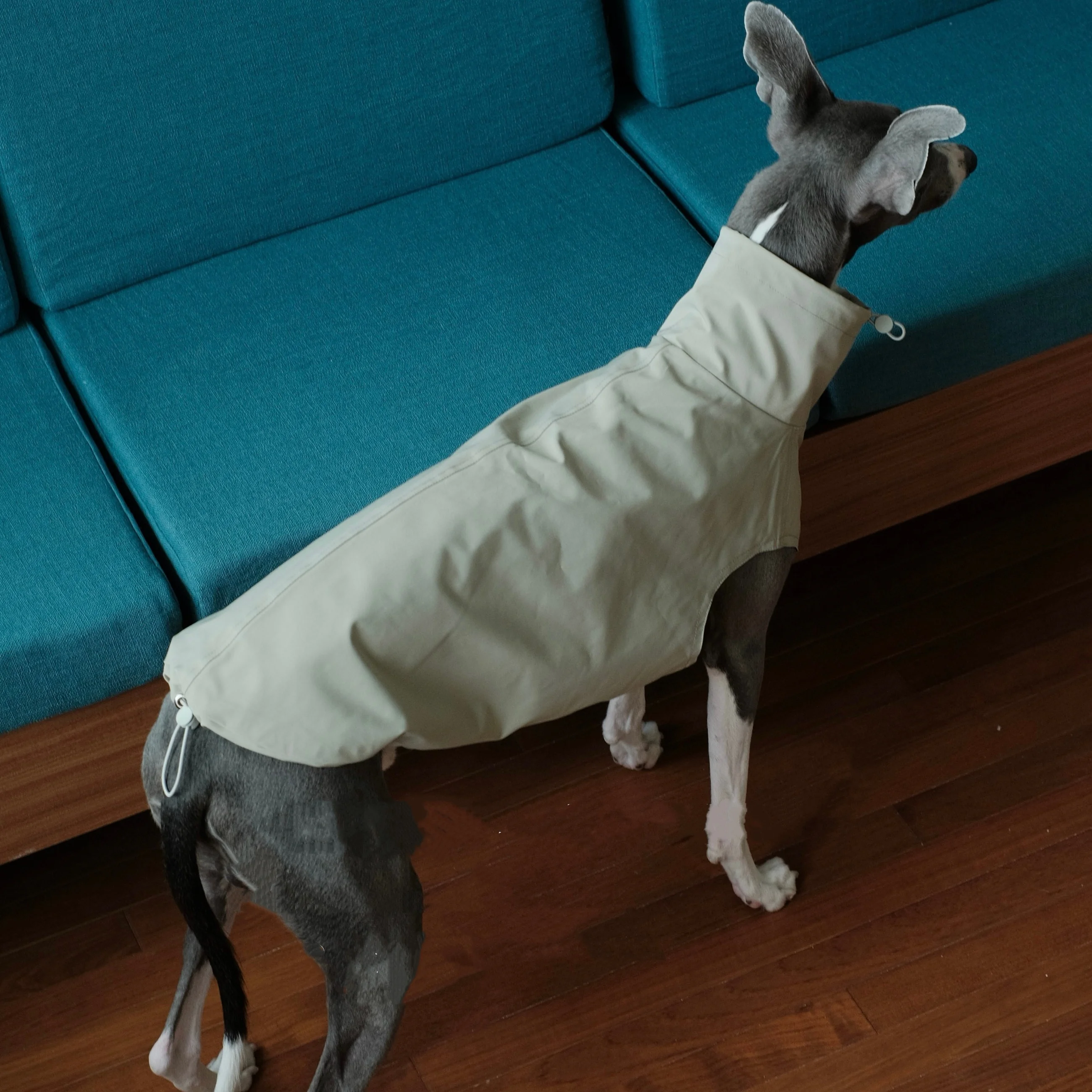 Chaqueta polar resistente a los arañazos a prueba de viento para perros en primavera abrigo de otoño impermeable marrón para chaleco de galgo italiano para Whippet - imagen 3