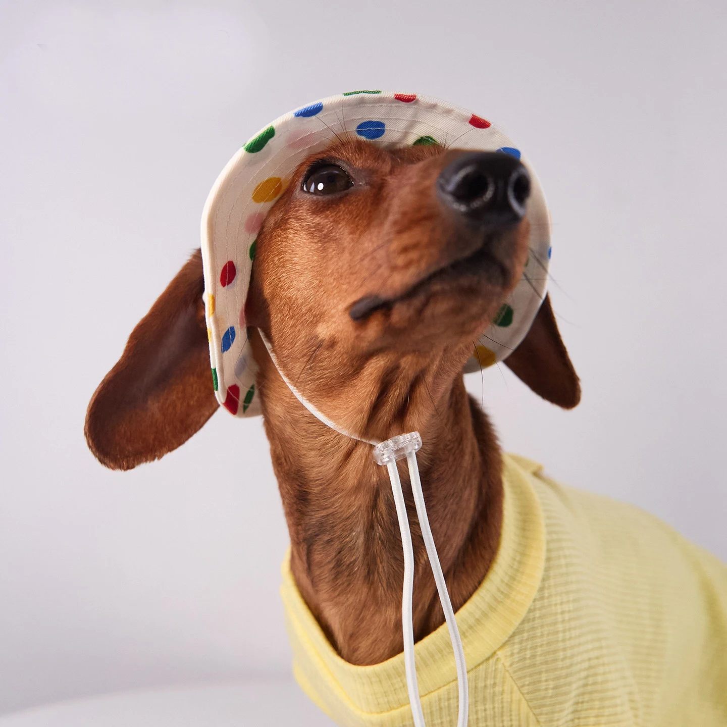 Gorra de verano con protección solar para perros pequeños y medianos - imagen 4