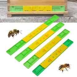 Caja de plástico para colmena con puerta antiescape – espaciador profesional