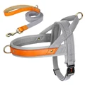 Gray Harness