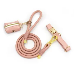 Collar y correa para perro con nombre grabado – Rosa