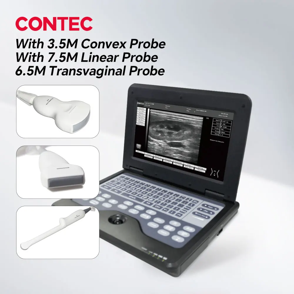 Convex Linear vagina