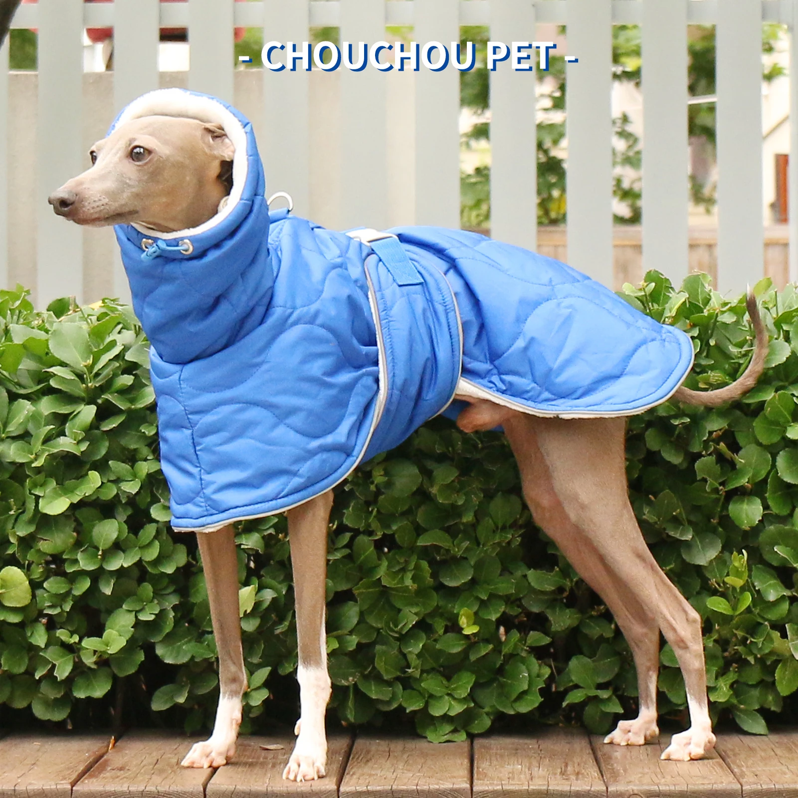 Whippet Greyhound Iggy Sighthound Abrigo de invierno engrosado Abrigo para perros pequeños, medianos y grandes - imagen 3