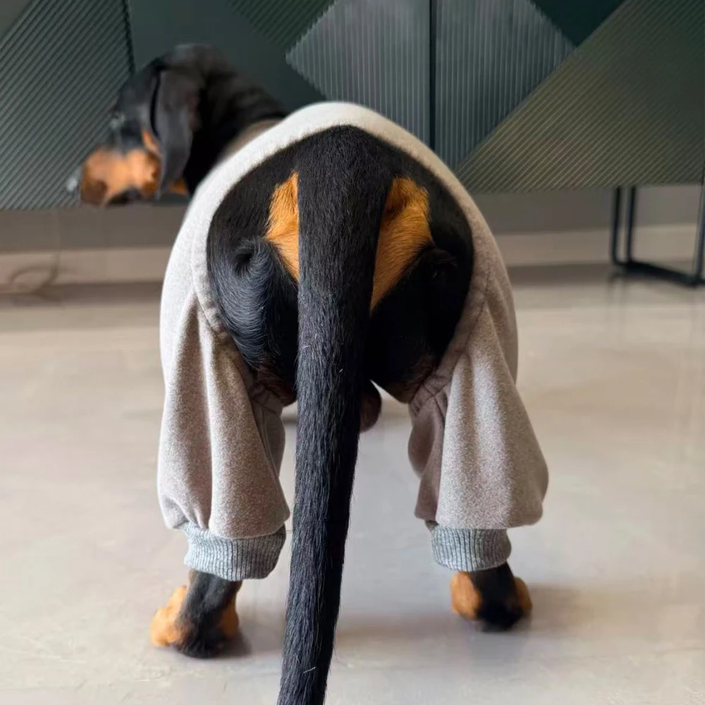 Detalle de las mangas largas del mono para perro