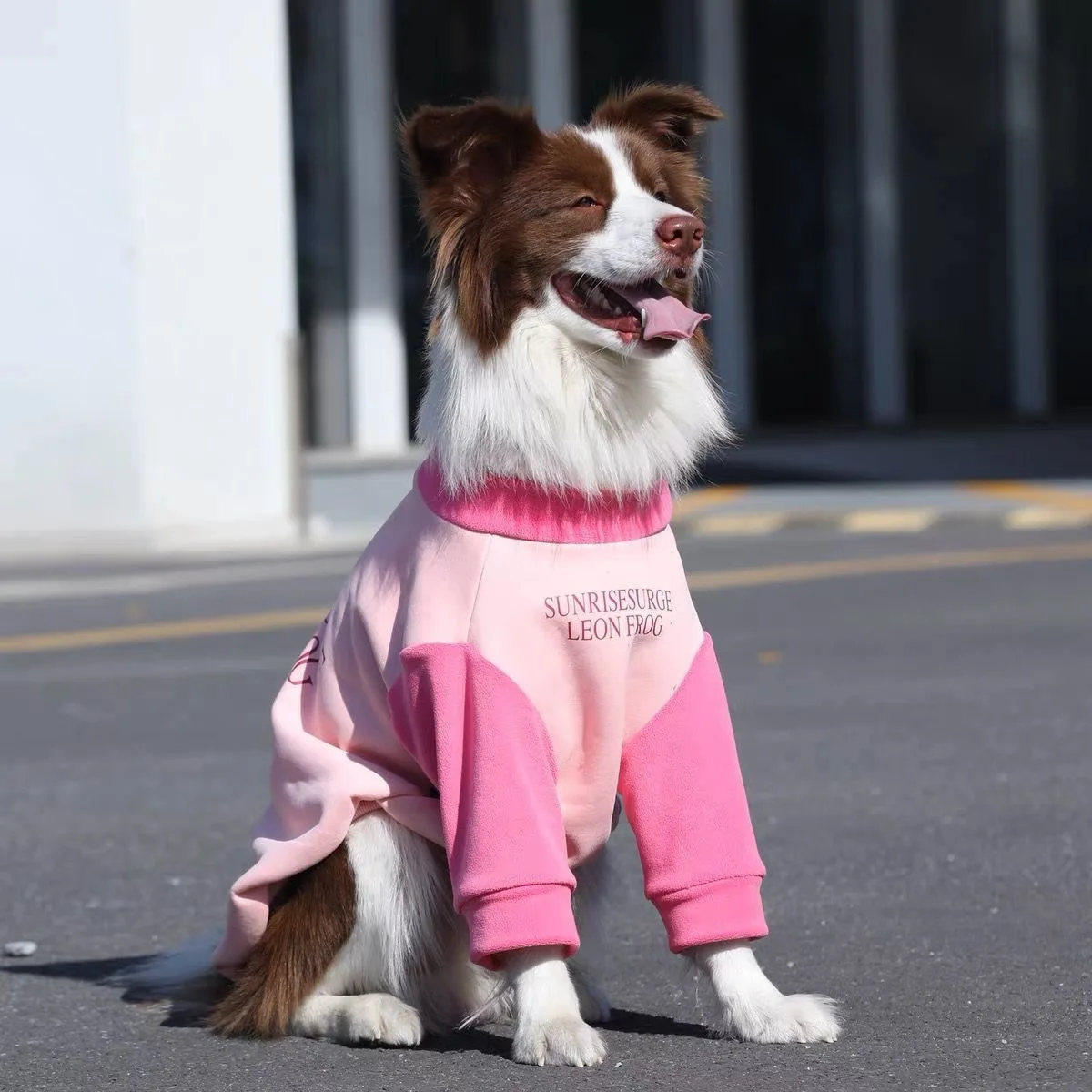 Abrigo invierno perros grandes forro polar – Rosa