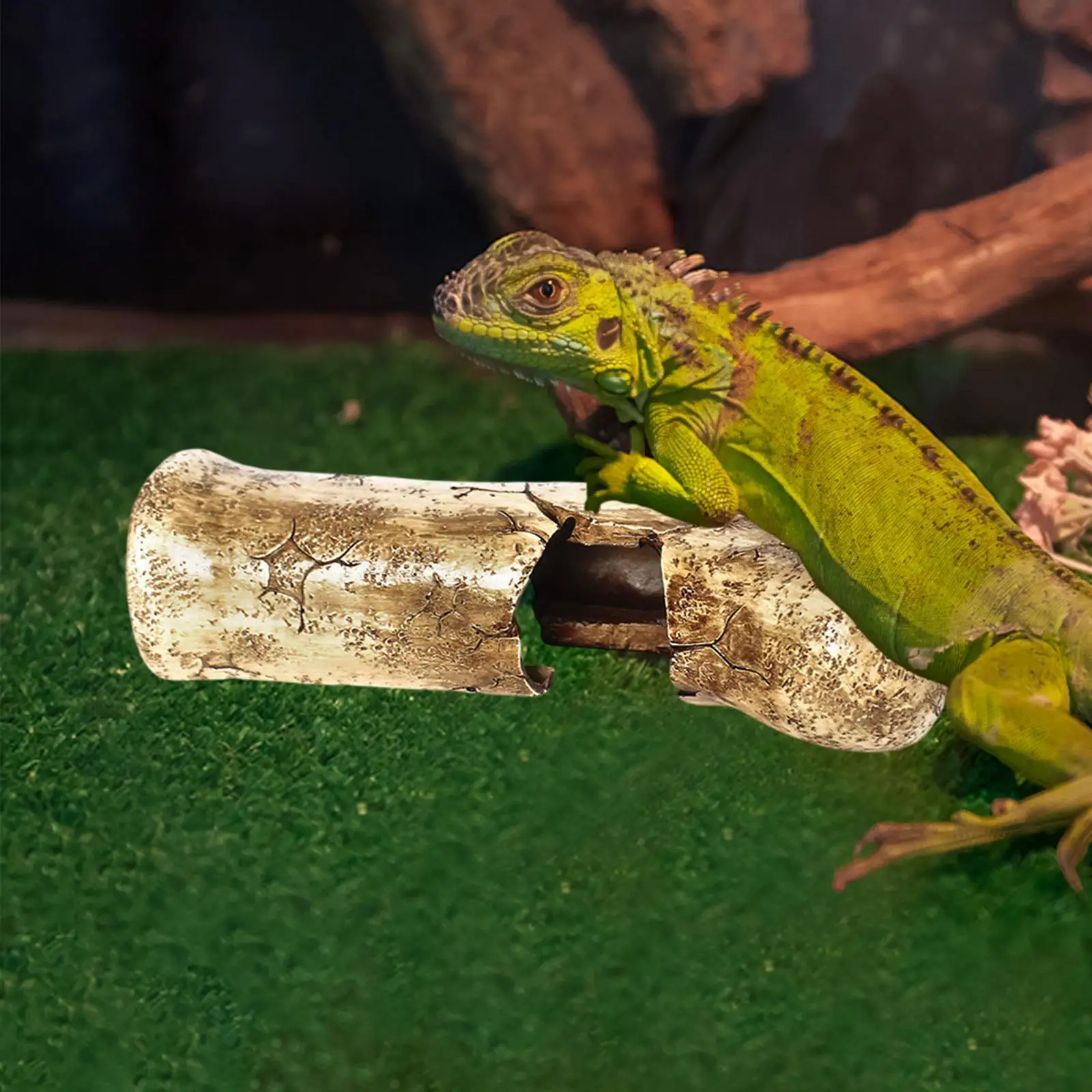 Reptile Rock Hide Cave Decorative Landscape Ornament for Fish Geckos Lizards