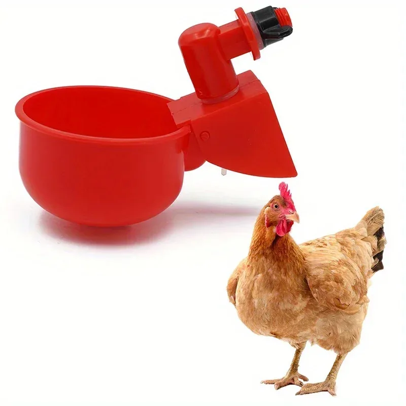 Cuenco para beber pollo, agua potable, codorniz, aves de corral, dispensador de agua automático, gama libre de patos y palomas, suministros para granja de pollos - imagen 5