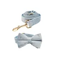 Bow Collar Leash Set