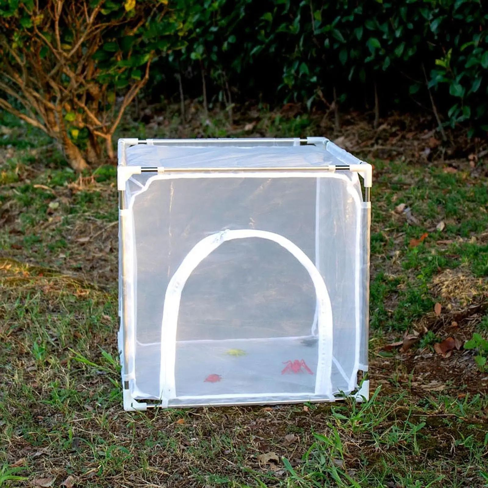 Butterfly Habitat Cage Freestanding Insect Rearing Cage for Garden Farm Yard