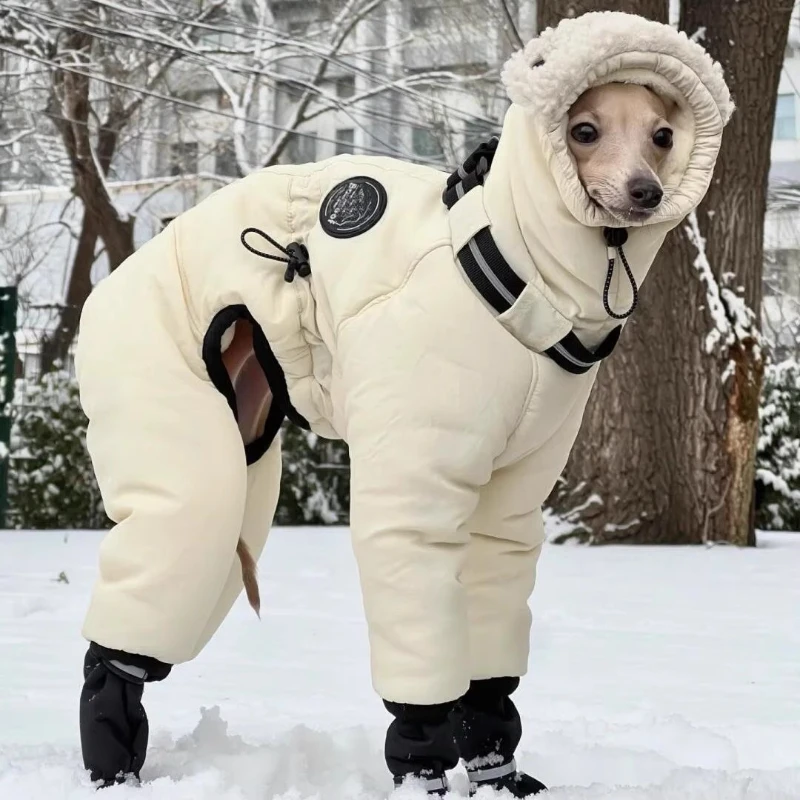Abrigo impermeable para Greyhound – Protección frío invierno exterior - imagen 5