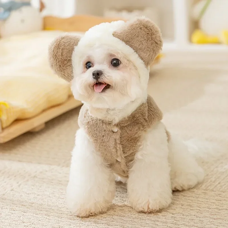 Plush Cute Winter Ins Style Dog Clothes Cute Bear Two Legs Fleece Coat Thickened Warm Winter Teddy Pet Clothes Puppy Coat