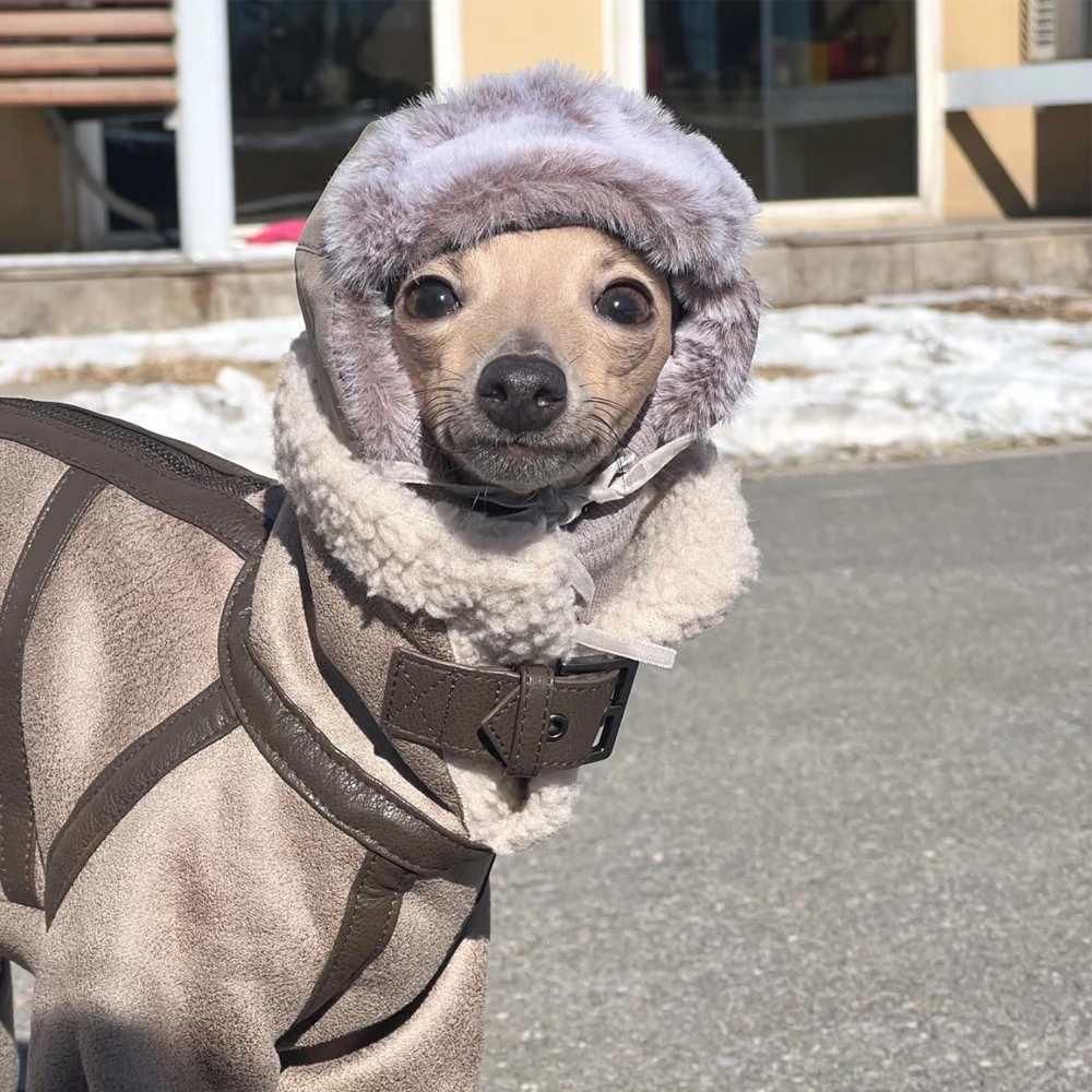 Chaqueta marrón de invierno para perros, elegante abrigo de algodón grueso ajustable para galgo italiano, chaqueta cálida a prueba de viento para Whippet - imagen 3