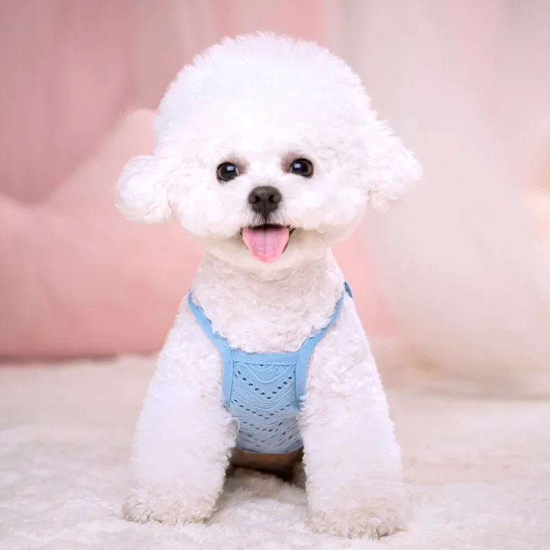 Camisas para perros para mascotas, camisetas de verano, chalecos geniales para cachorros, traje transpirable para perros, sudadera suave para perros pequeños y medianos y gatos - imagen 4