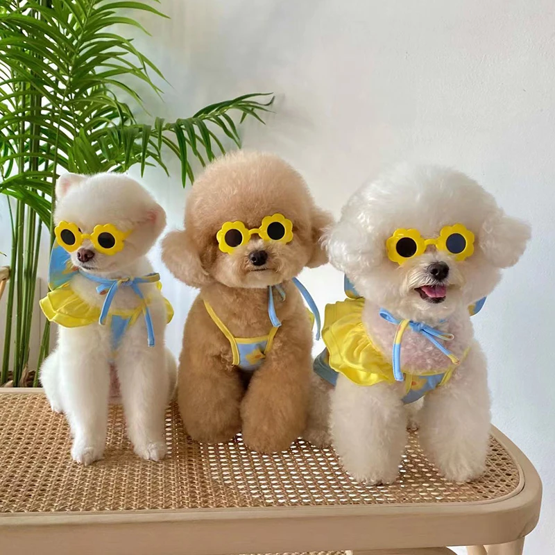 Traje de baño bonito para cachorros de verano, conjunto de sombrero para perros pequeños, playa, piscina, ropa para mascotas, Chihuahua, Yorkshire, Bikini, gorro de baño - imagen 5