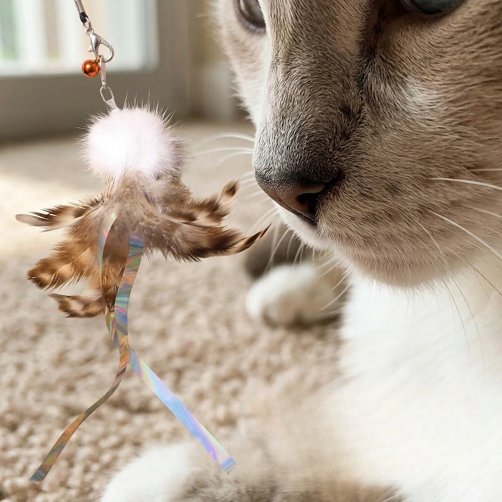 Juguete interactivo con cuerda y plumas para gatos y gatitos - imagen 3