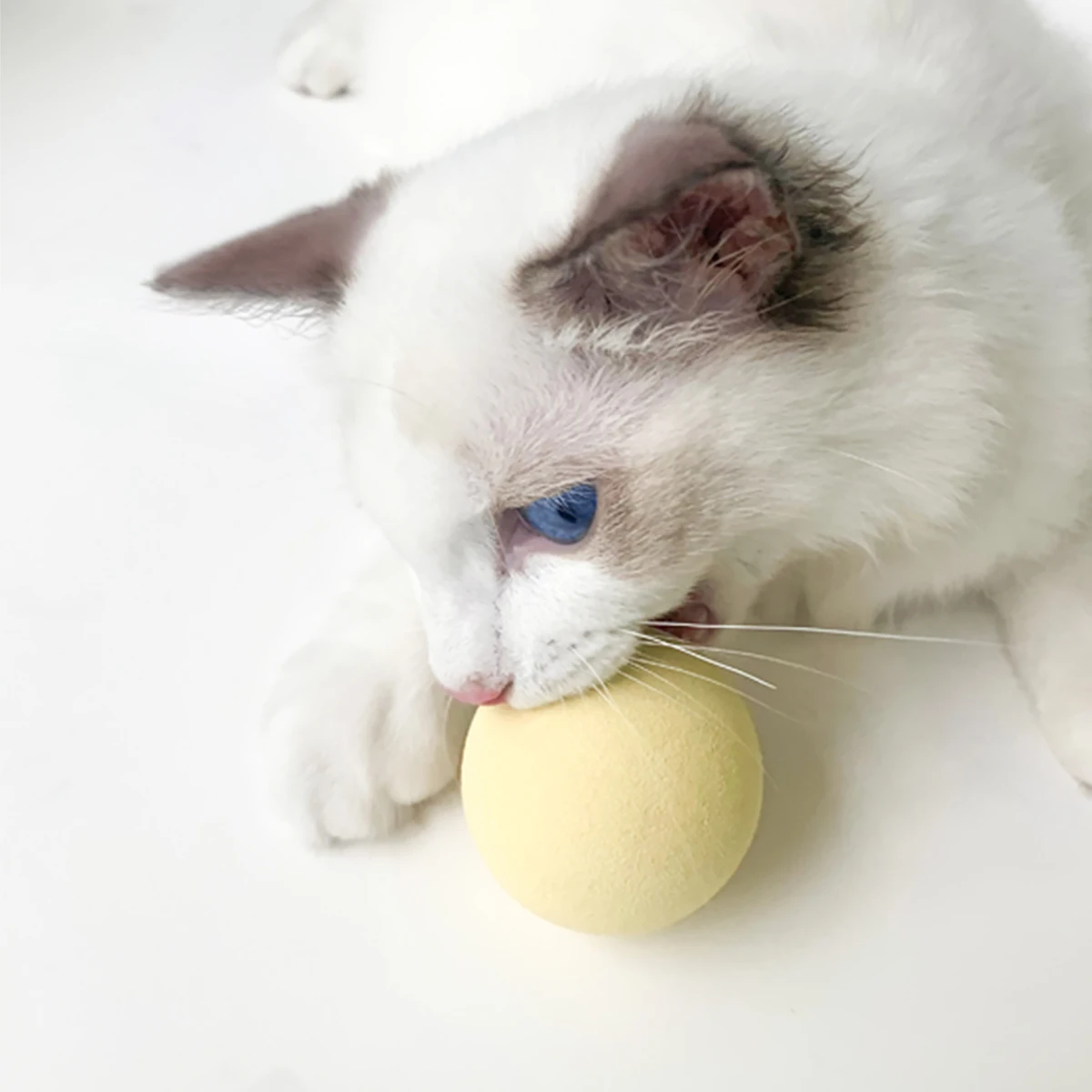 EW Gravitational Barking Ball Teaser Cat Stick Mint Ball Toy EW Gravitational Barking Ball Teaser Cat Stick Mint Ball Toy - imagen 4